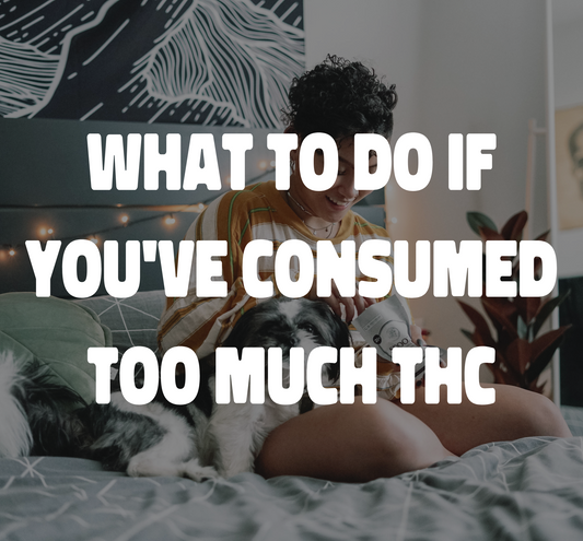 Navigating the High: What To Do If You've Consumed Too Much THC