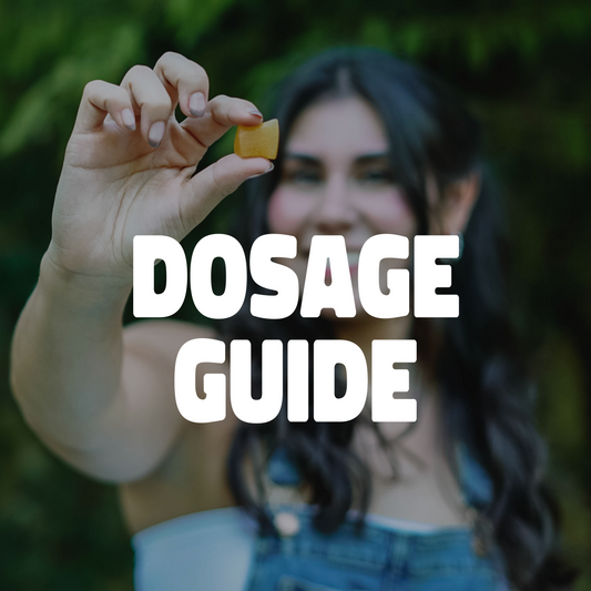 Dosage Guide 101: Navigating Edibles
